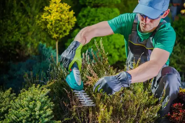 landscaping services Balmville